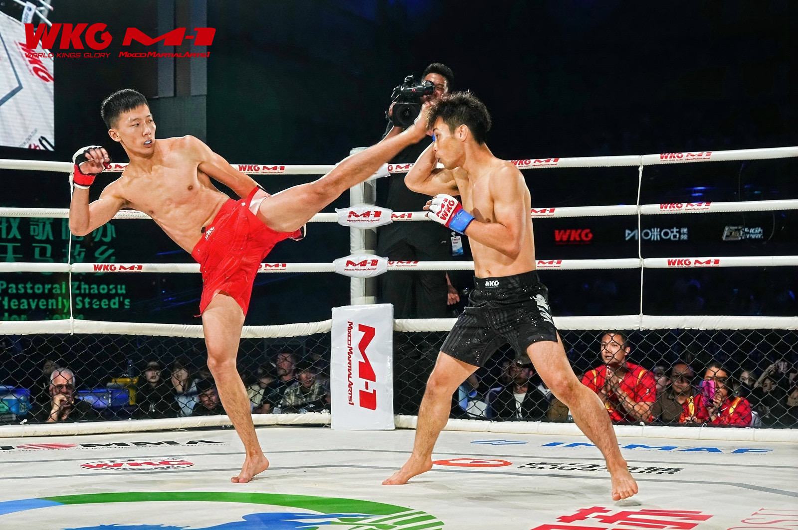 国际格斗赛事点亮新疆昭苏文旅新地标